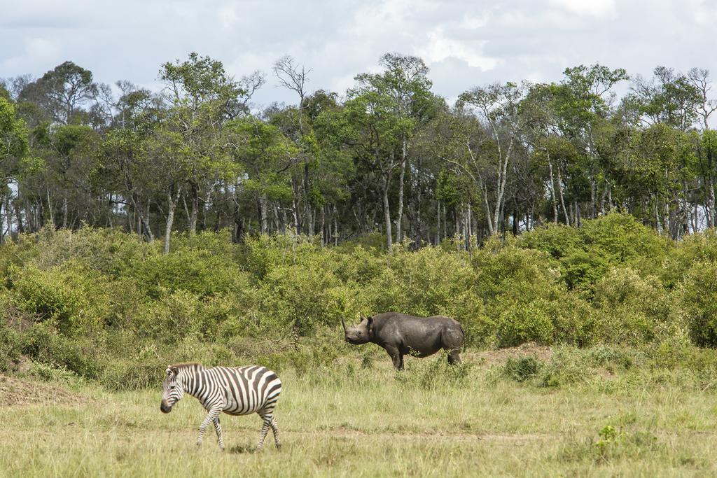 Mara Engai Lodge Lolgorien Esterno foto