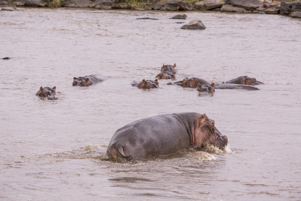Mara Engai Lodge Lolgorien Esterno foto