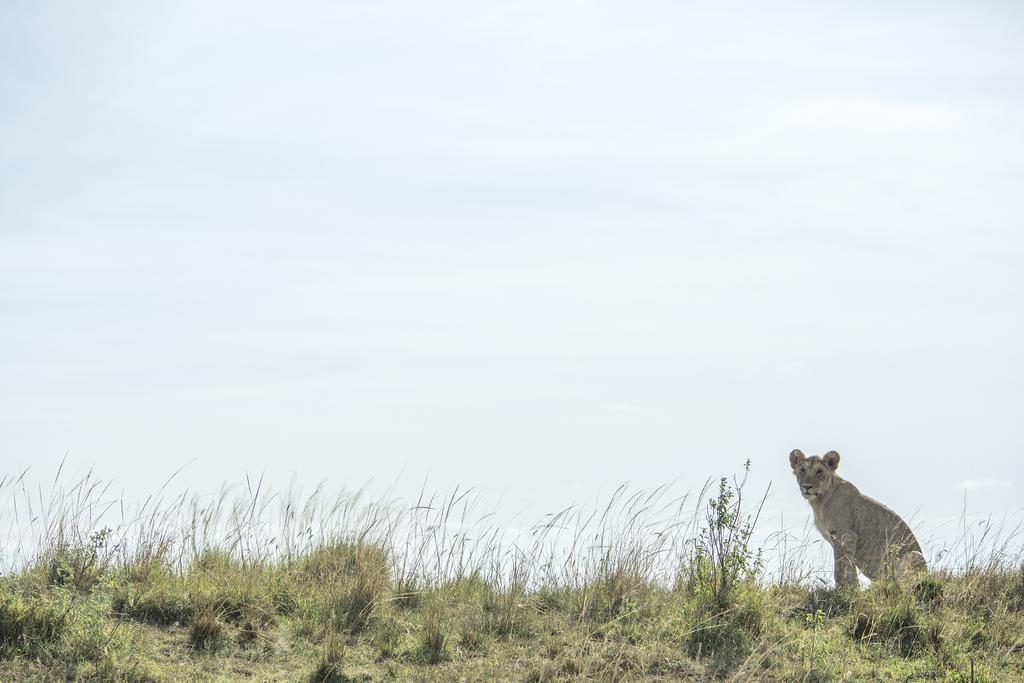 Mara Engai Lodge Lolgorien Esterno foto