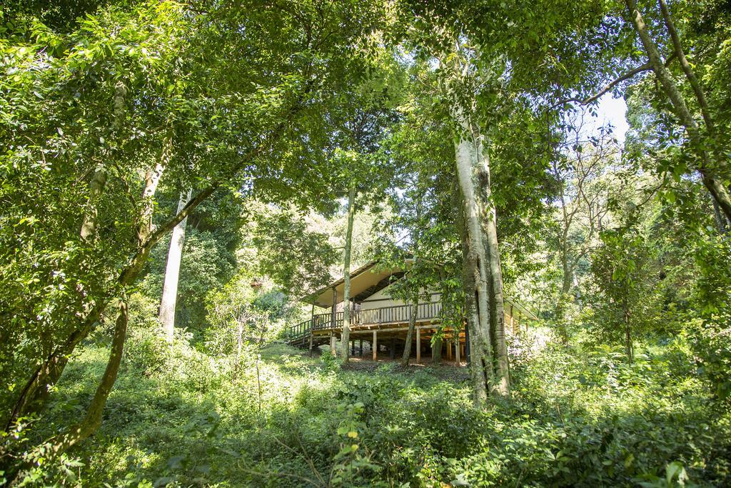 Mara Engai Lodge Lolgorien Esterno foto